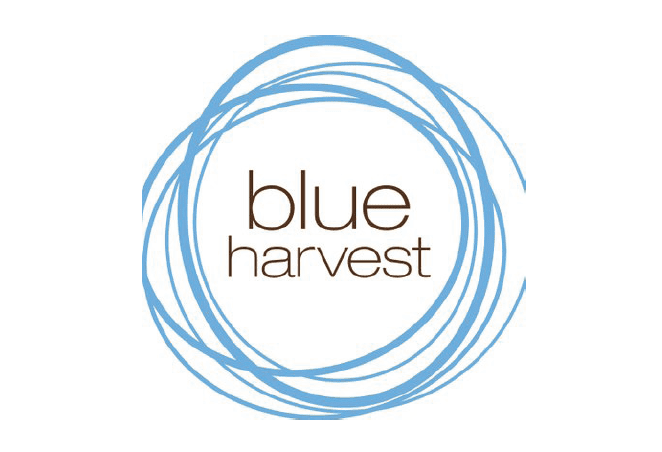 Blue Harvest
